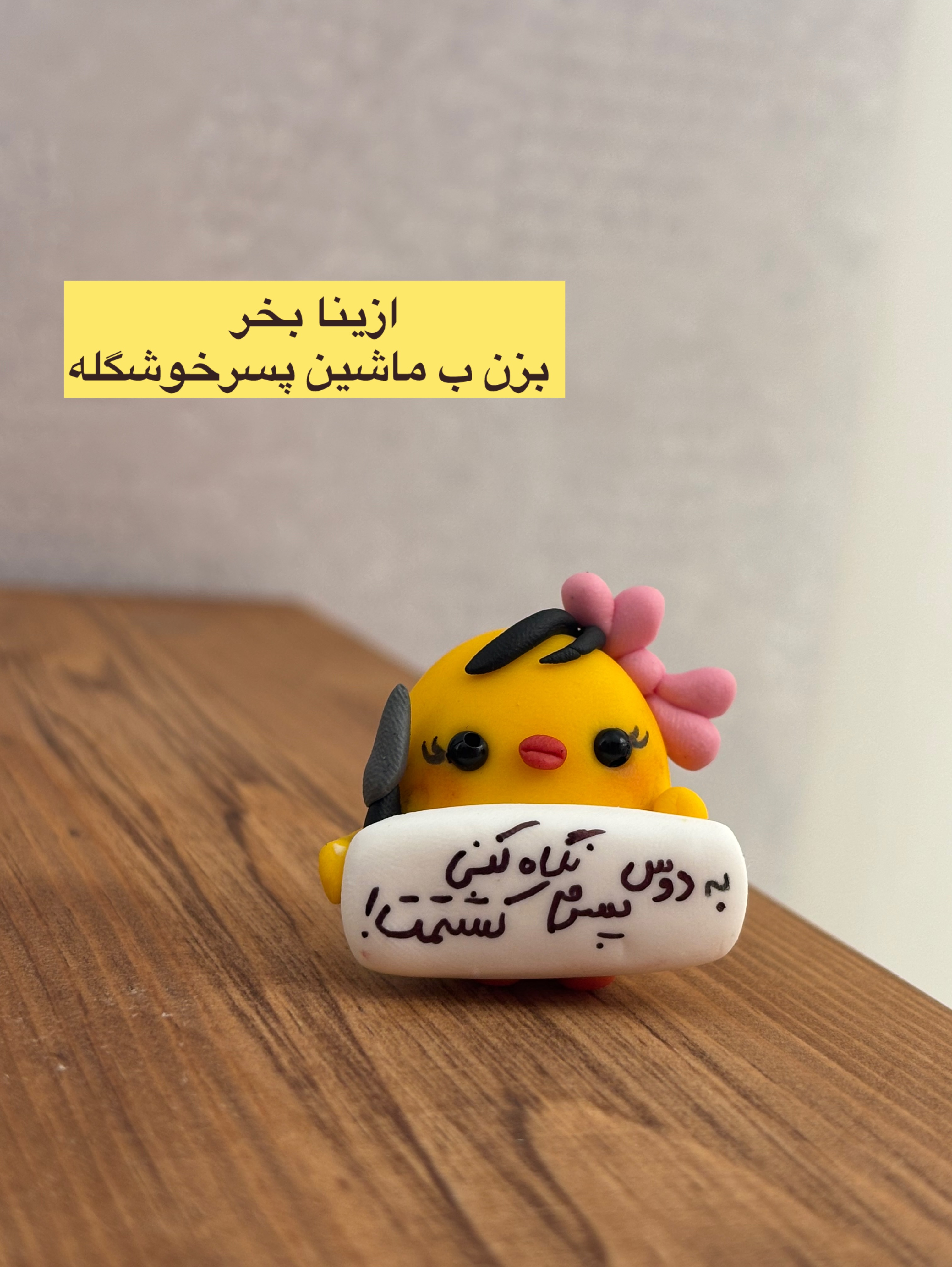 روداشبوردی جوجه دوس پسر